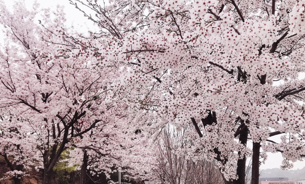 아시아 레이크사이드 호텔 진주 외부 사진